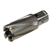 Фреза по металлу с твердосплавными наконечниками Elmos ct3518 (18х35 мм)