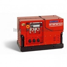 Генератор бензиновый ENDRESS ESE 1308 DHS-GT ES Silent (131 008A)